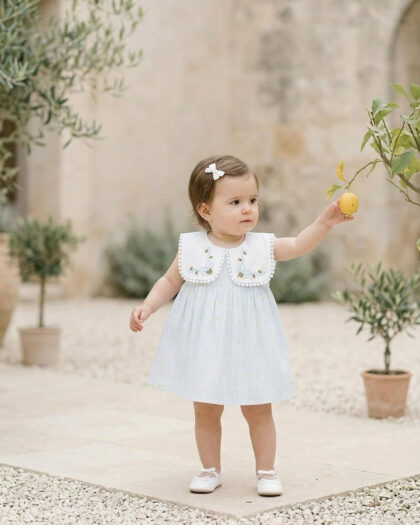 Kız Bebek Romantik Nakış Detaylı Premium Elbise